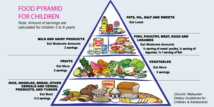 children-food-pyramid