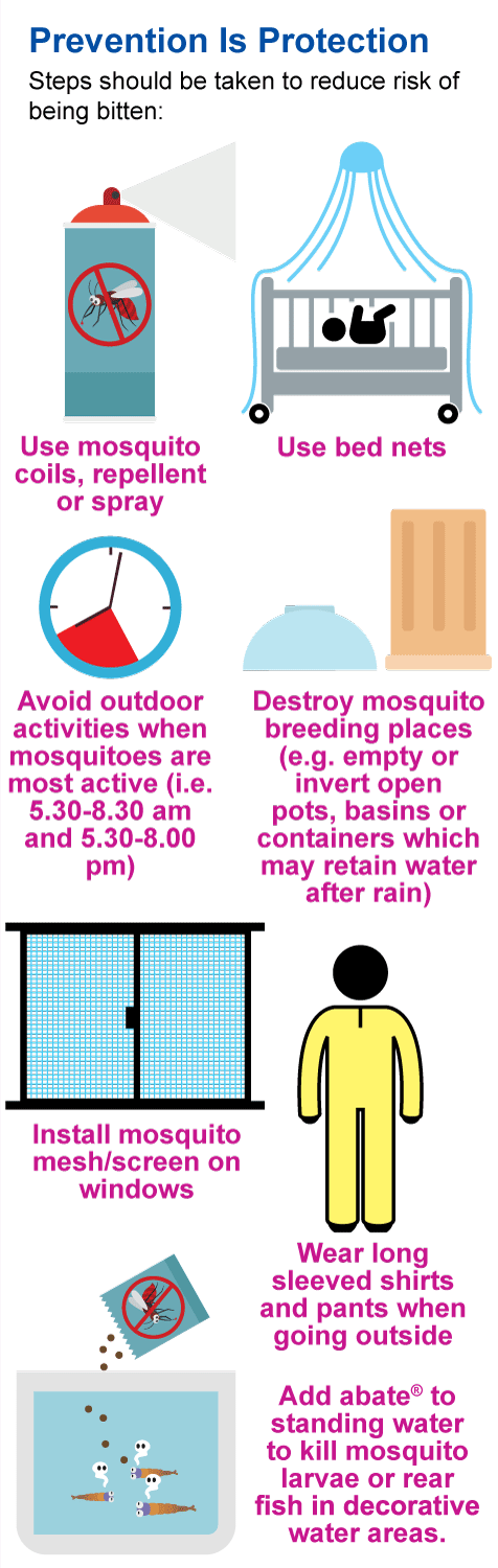 dengue-protection