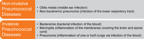 pneumoccal_diseases_en