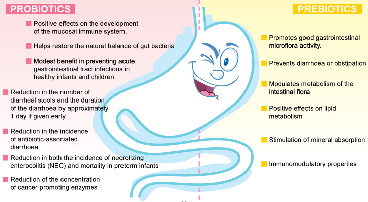 The ‘PRO’ in Probiotics - Positive Parenting