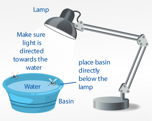 mosquito-light-trap