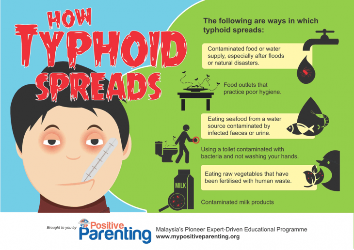 typhoid-infographic-2