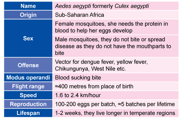 aedes-info