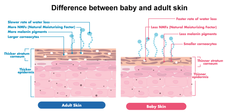 difference-between-baby-and-adult-skin