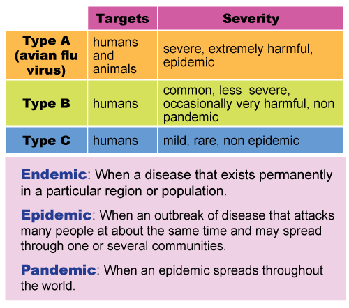 types-of-flu