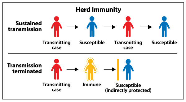 herd-immunity