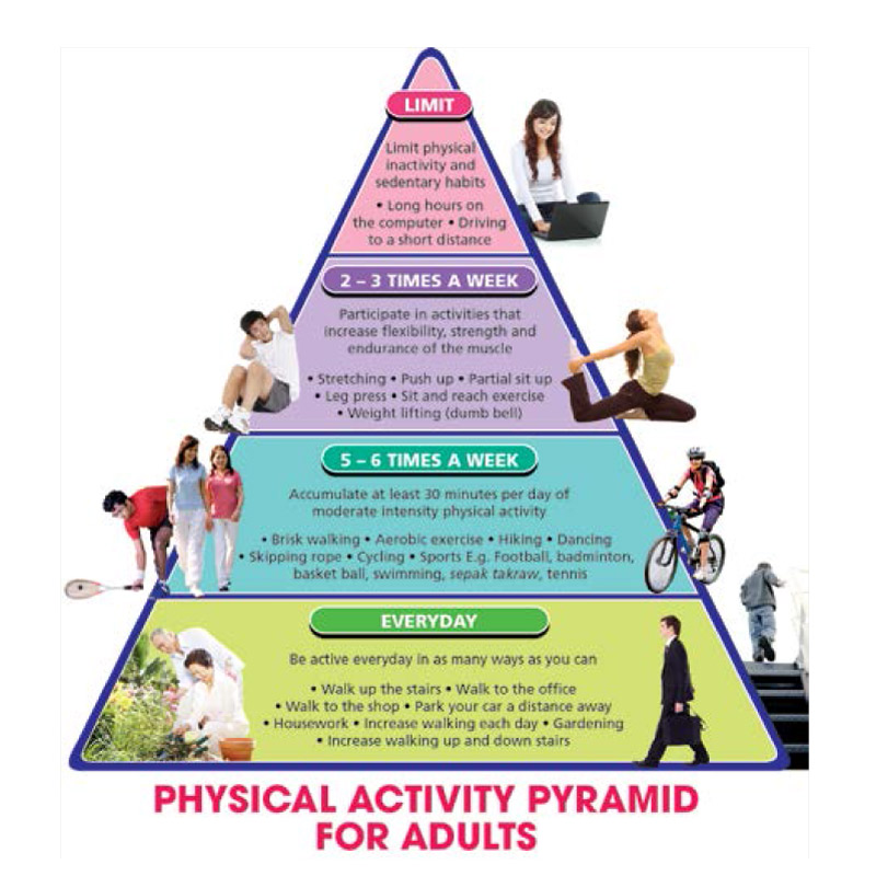 level of physical activity pyramid