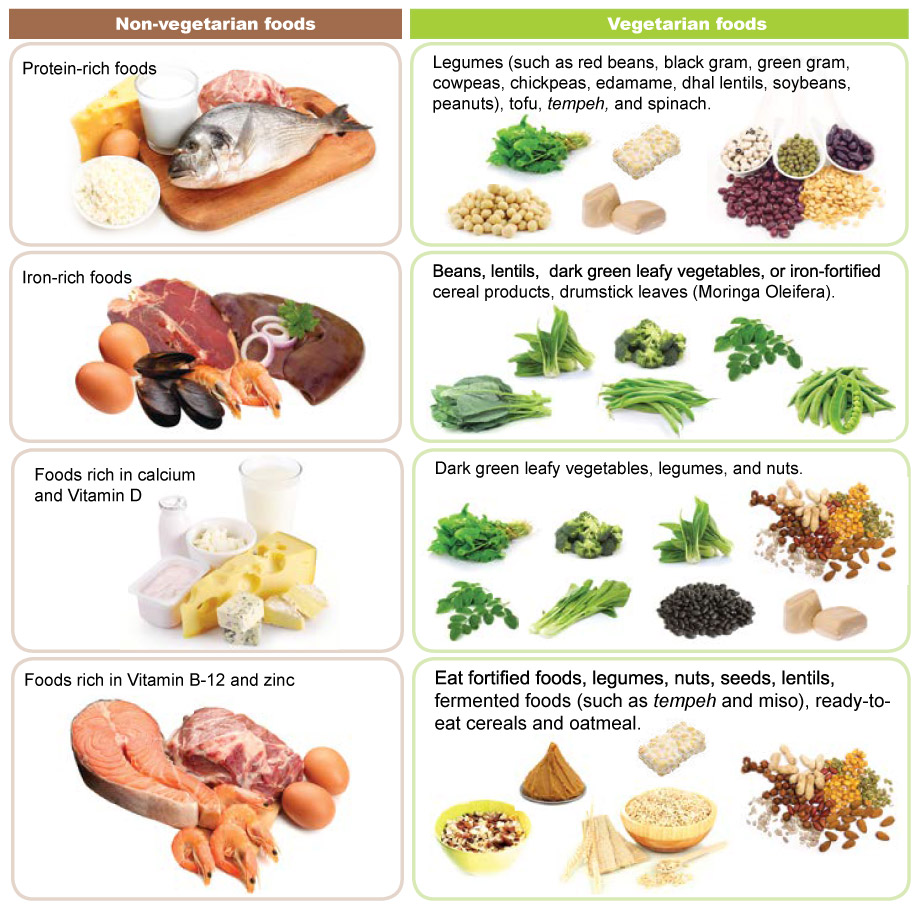 Non Vegetarian Food Pyramid