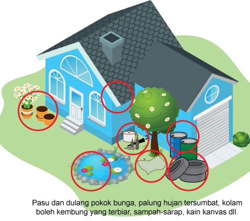 Kenali Jenis Nyamuk  Di Malaysia Positive Parenting