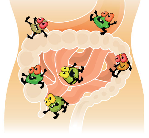 antibiotics killing bacteria cartoon