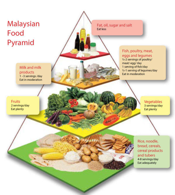 Food Pyramid