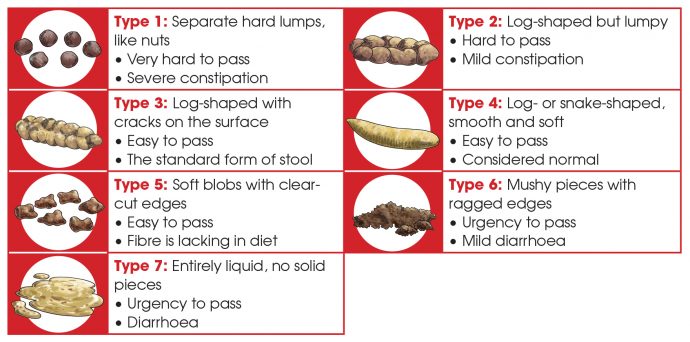 1 Year Old Undigested Food In Stool