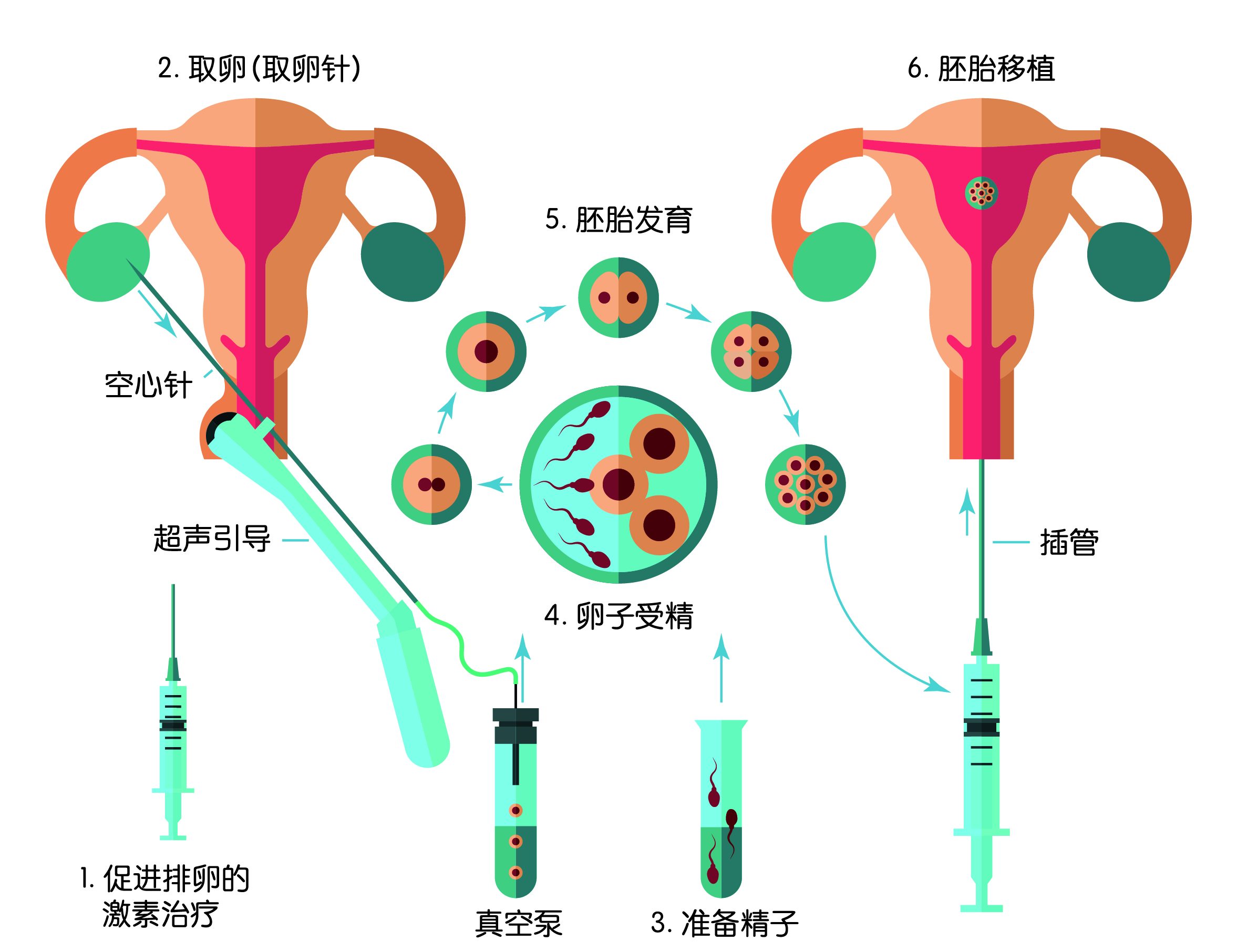 关于冷冻胚胎 Positive Parenting