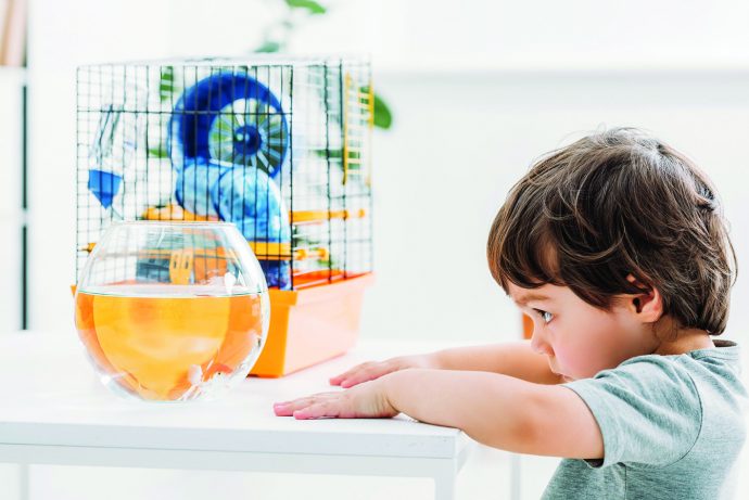 adorable boy standing near table with fish bowl and pet cage 
