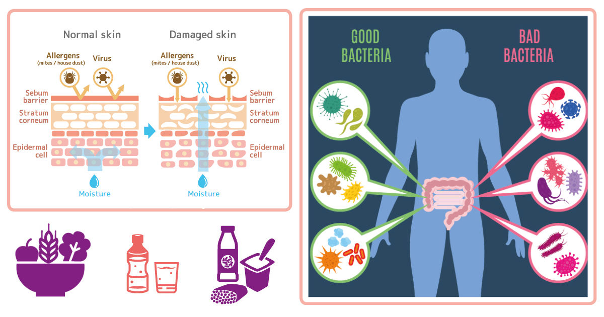 Digestive Health & Immunity – Positive Parenting