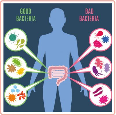 Good Bacteria and Bad Bacteria