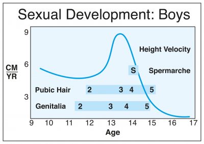 early puberty in girls under 10 the new normal