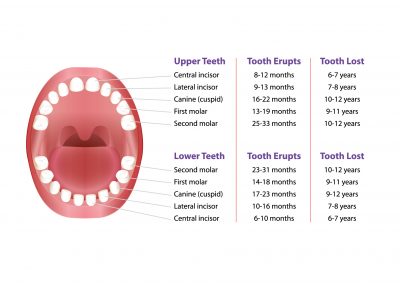 Baby's First Tooth: 7 Facts Parents Should Know – Lancaster Dental Texas