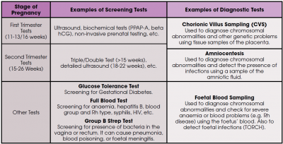 A Parent's Guide to Prenatal Testing: 5 Frequently Asked Questions -  Positive Parenting